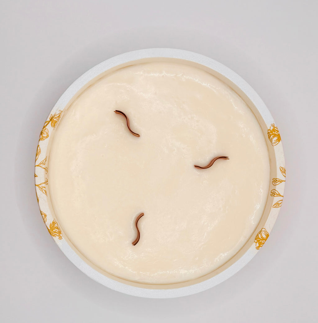 Rose Éternelle – Signature Bowl Candle